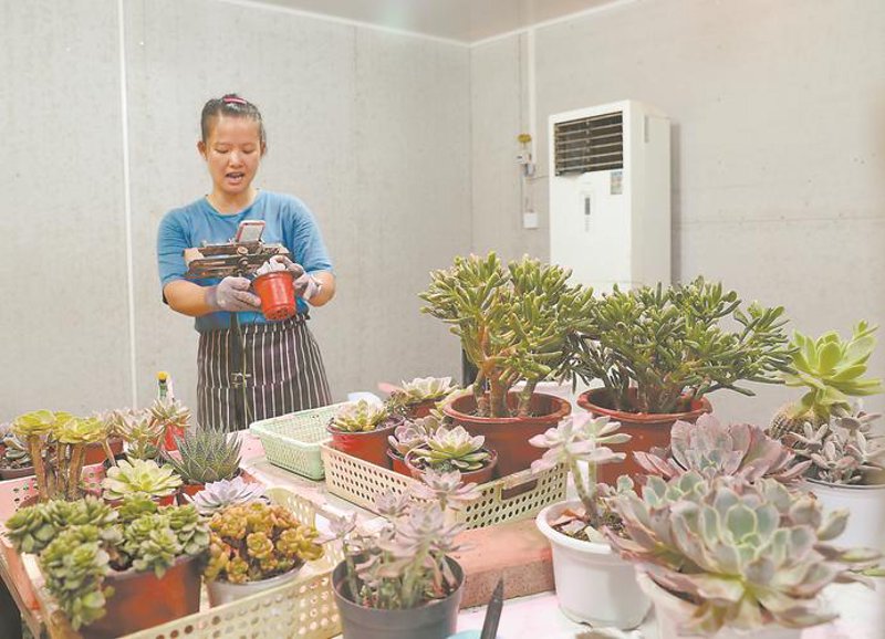 网店代运营：助您轻松实现电商梦想